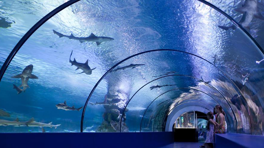 Aquarium Antalya