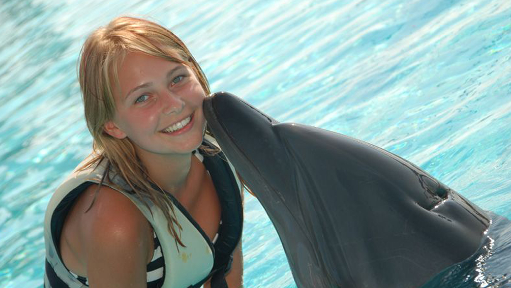 Swimming With Dolphins