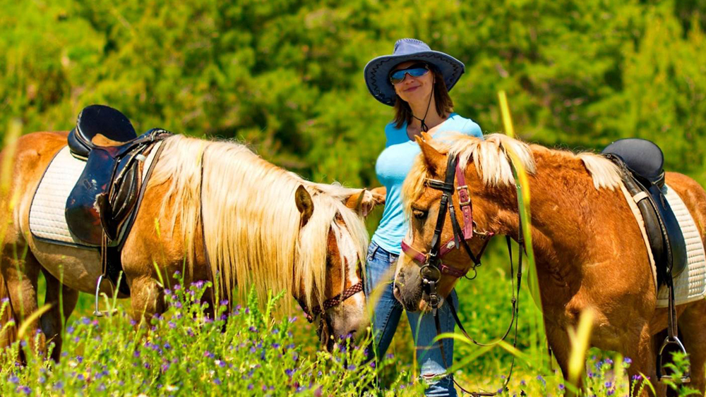 Horse Safari