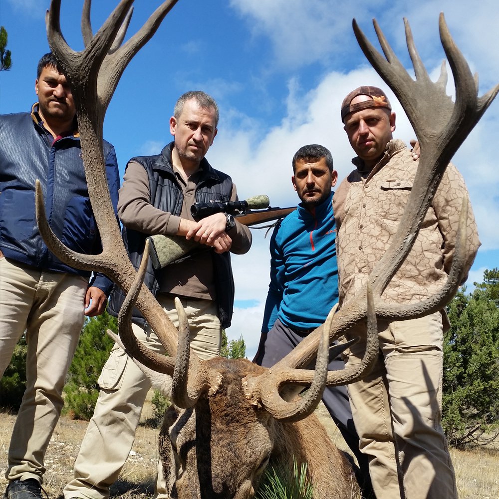 Anatolian Red Deer