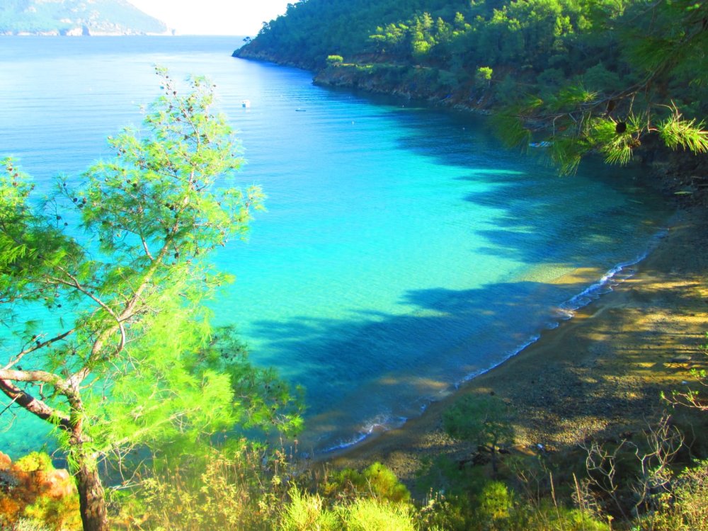 DOĞA YÜRÜYÜŞÜ UZUN PARKUR   ADRASAN - ESKİ FENER - KIZ KALESİ  12 KM