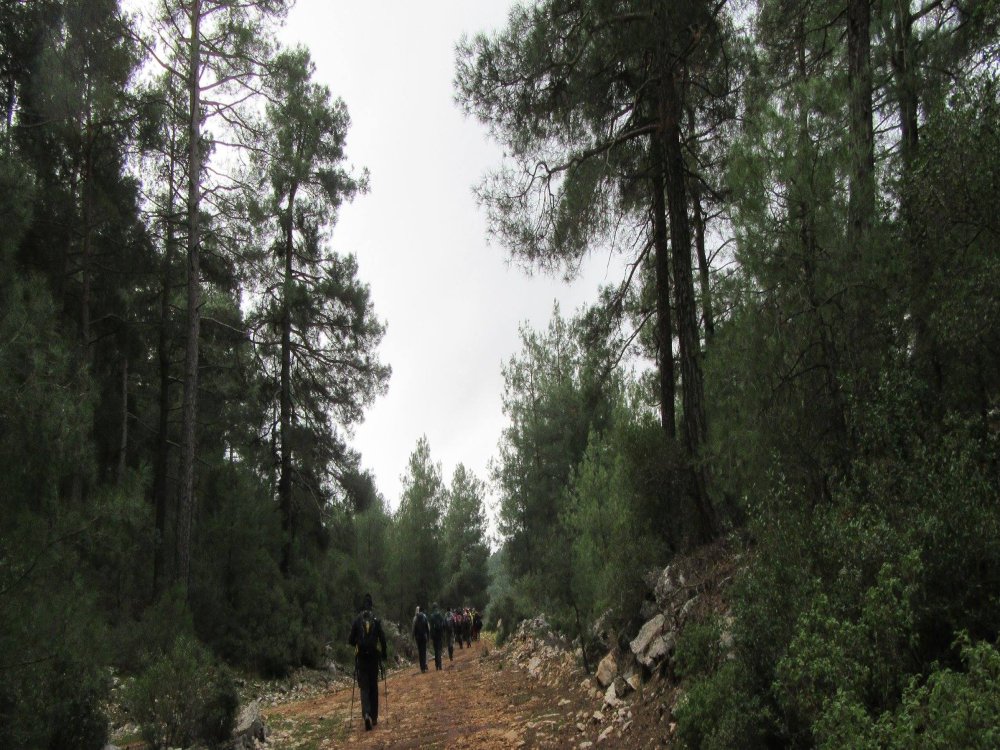 DOĞA YÜRÜYÜŞÜ UZUN PARKUR  SİA ANTİK KENTİ - KARAOT / BUCAK (12 KM)