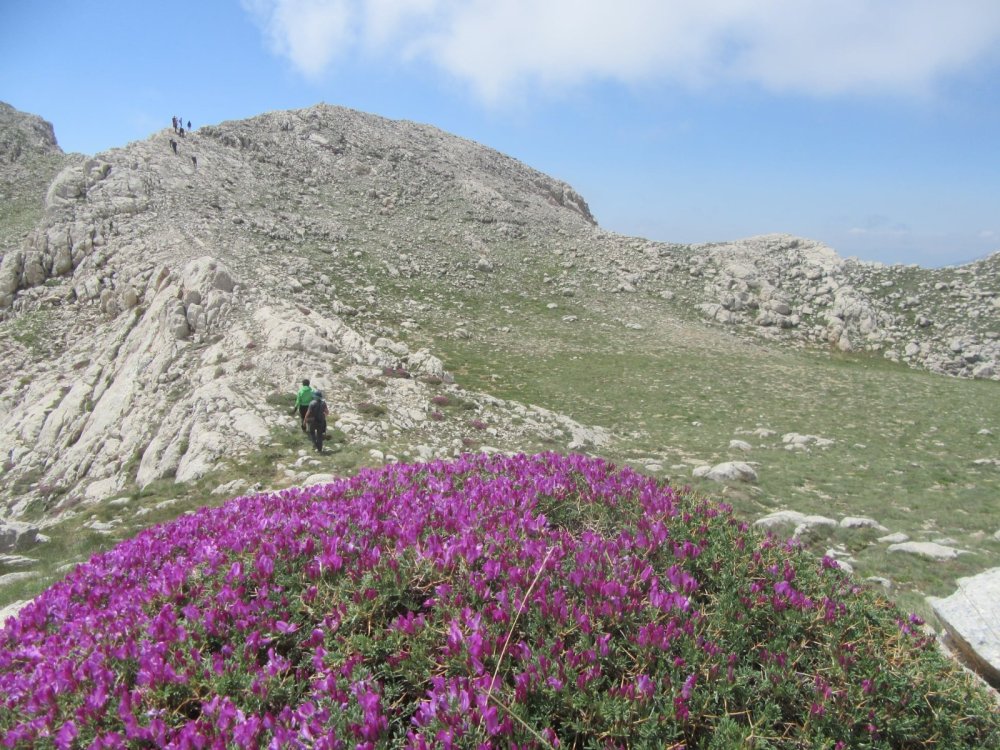 TUNÇ DAĞI