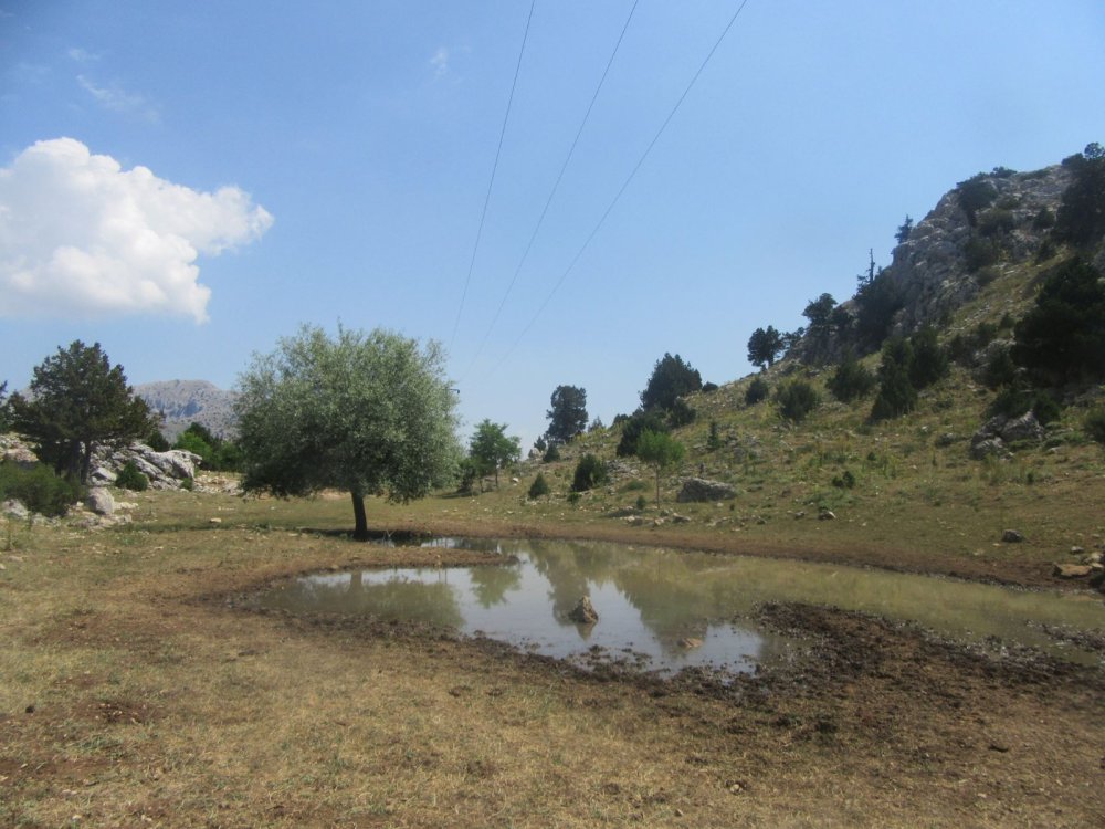 Sorkunlu-Elmaçukuru-Kartal-Mahmutlar/ BURDUR