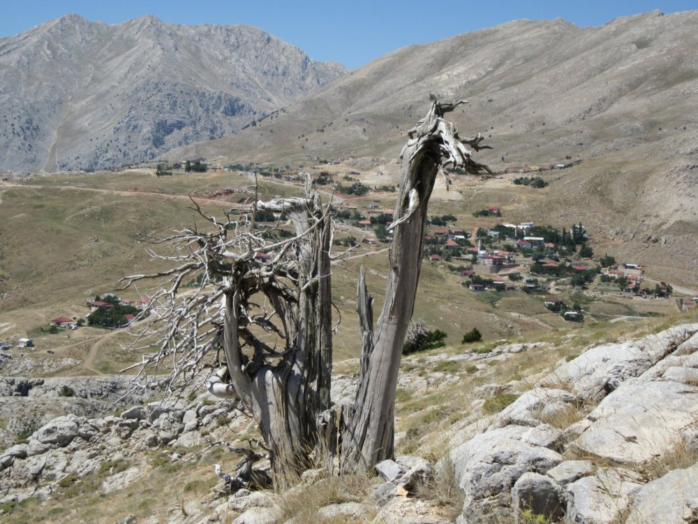 FESLİKAN ARDIÇ ÇUKURU YAYLASI-KARADAĞ (2000 m)