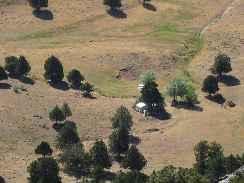 FESLİKAN ARDIÇ ÇUKURU YAYLASI-KARADAĞ (2000 m)