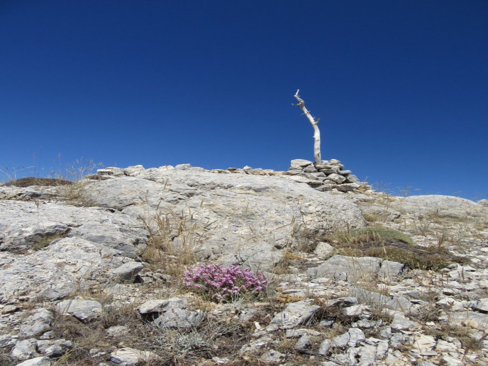 FESLİKAN ARDIÇ ÇUKURU YAYLASI-KARADAĞ (2000 m)