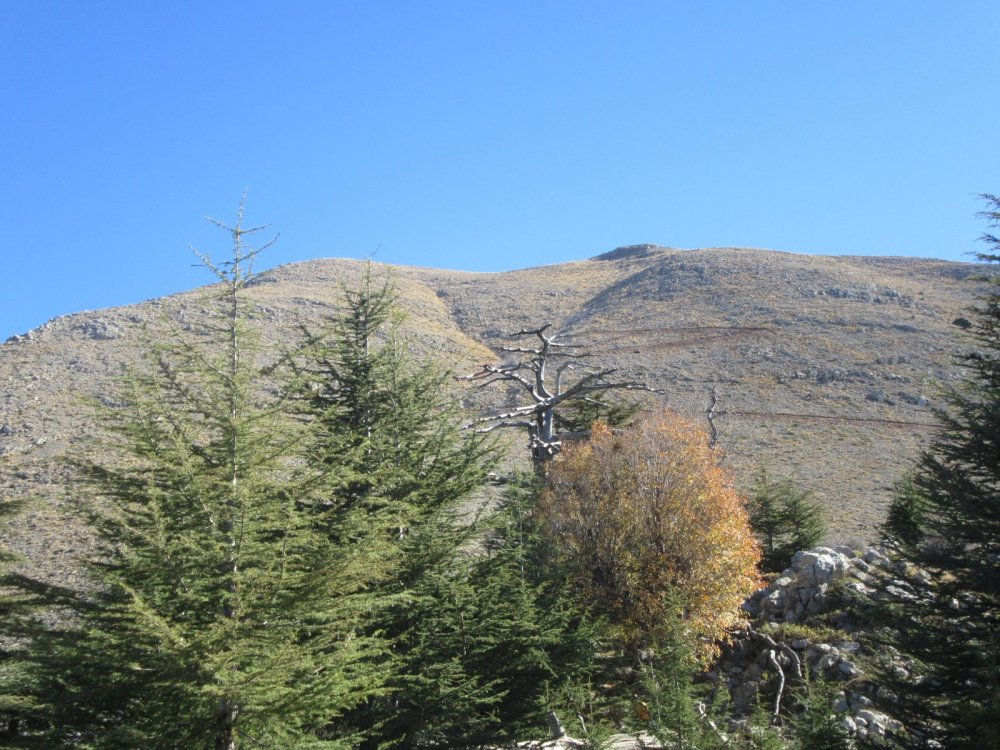 UZUN PARKUR BEYCİK TAHTALI DAĞI CUMHURİYET YÜRÜYÜŞÜ (2365M)