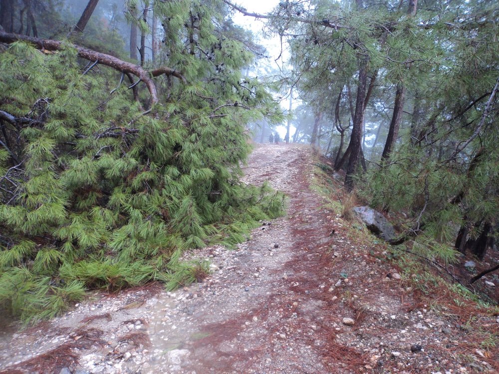 KISA PARKUR ÇALIŞTEPE LÜTFÜ SARMAŞIK ANMA YÜRÜYÜŞÜ/KEMER