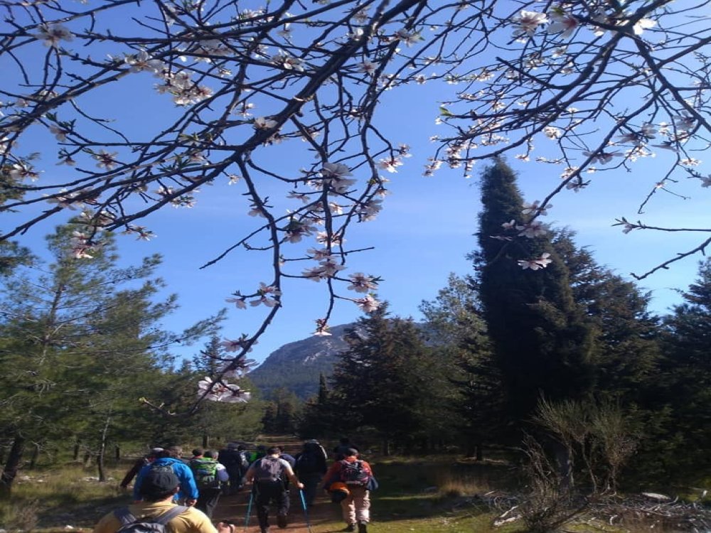 UZUN PARKUR SULUANDIZ DOYRAN/KONYAALTI